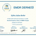 Resmi büyüt: certificate 3