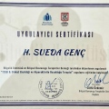 Resmi büyüt: certificate 3