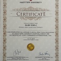 Resmi büyüt: certificate 3