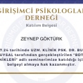 Resmi büyüt: certificate 21