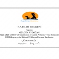 Resmi büyüt: certificate 1