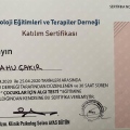 Resmi büyüt: certificate 7