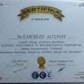 Resmi büyüt: certificate 10