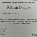 Resmi büyüt: certificate 13
