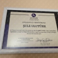 Resmi büyüt: certificate 4