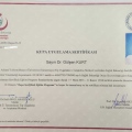 Resmi büyüt: certificate 8