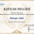 Resmi büyüt: certificate 7