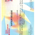 Resmi büyüt: certificate 20