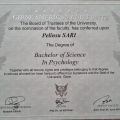Resmi büyüt: certificate 5