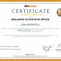 Resmi büyüt: certificate 2