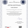 Resmi büyüt: certificate 3
