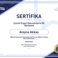 Resmi büyüt: certificate 4
