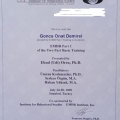 Resmi büyüt: certificate 3