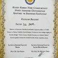 Resmi büyüt: certificate 13