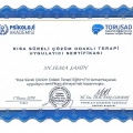 Resmi büyüt: certificate 4