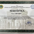 Resmi büyüt: certificate 10