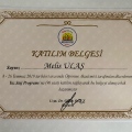 Resmi büyüt: certificate 24