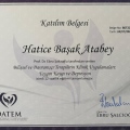 Resmi büyüt: certificate 7