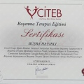 Resmi büyüt: certificate 22