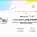 Resmi büyüt: certificate 6