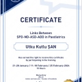 Resmi büyüt: certificate 3