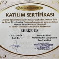 Resmi büyüt: certificate 1