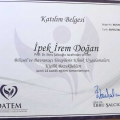 Resmi büyüt: certificate 14