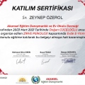 Resmi büyüt: certificate 7