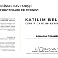 Resmi büyüt: certificate 6