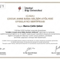 Resmi büyüt: certificate 4