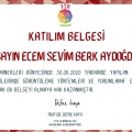 Resmi büyüt: certificate 6