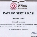 Resmi büyüt: certificate 5