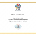 Resmi büyüt: certificate 2