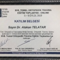 Resmi büyüt: certificate 11
