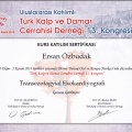 Resmi büyüt: certificate 12