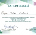 Resmi büyüt: certificate 5