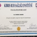 Resmi büyüt: certificate 3