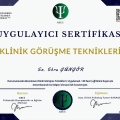 Resmi büyüt: certificate 3