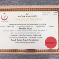 Resmi büyüt: certificate 2