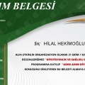 Resmi büyüt: certificate 17