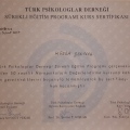 Resmi büyüt: certificate 13
