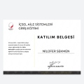 Resmi büyüt: certificate 11