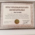 Resmi büyüt: certificate 6