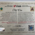 Resmi büyüt: certificate 3
