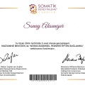 Resmi büyüt: certificate 23