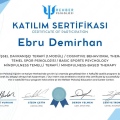 Resmi büyüt: certificate 12