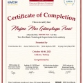 Resmi büyüt: certificate 2