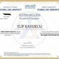 Resmi büyüt: certificate 2