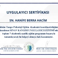 Resmi büyüt: certificate 1