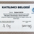 Resmi büyüt: certificate 3